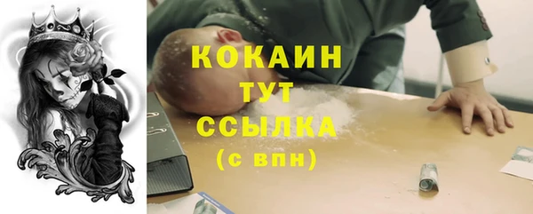 ALPHA PVP Гусь-Хрустальный