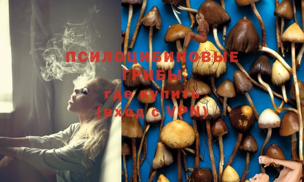 марихуана Гусиноозёрск