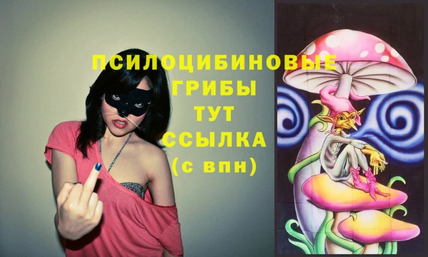 метадон Горнозаводск
